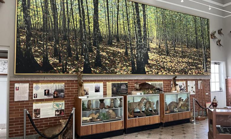 View of inside the Central Delta Depot Museum. 